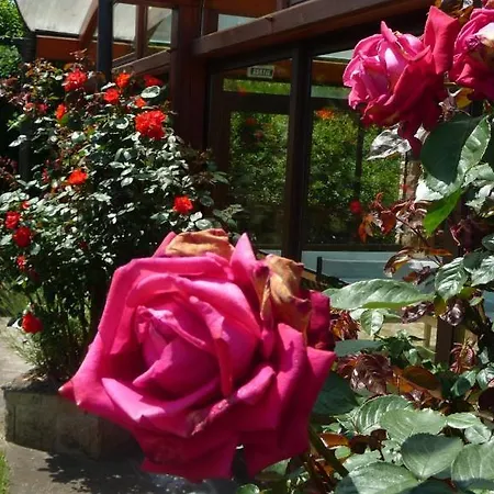 Logis La Rose Des Vents